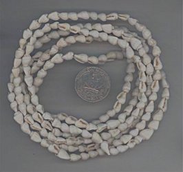 230 VINTAGE MINI CONCH SHELL 8X5mm BEADS