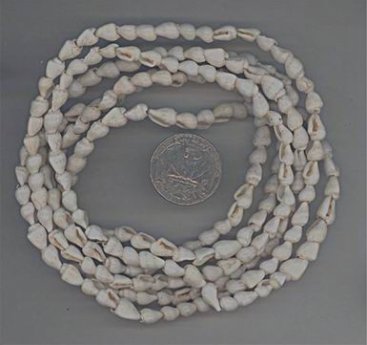 (image for) 230 VINTAGE MINI CONCH SHELL 8X5mm BEADS