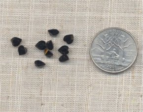 18 VINTAGE AUSTRIAN JET 5X5.5mm HEART GEM JEWELS