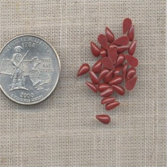 100 VINTAGE DARK CORNELIAN TEAR 6x3mm CABOCHONS